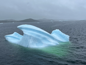 🇨🇦 Neufundland&Labrador, Tage 108-111