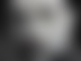 Зимска краткодневница (поезија)