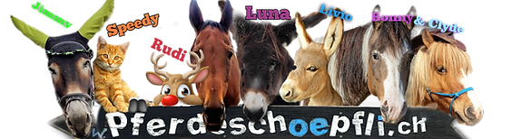 PonyTeam.png
