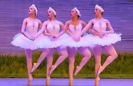 Swan00678.jpg