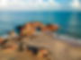 jericoacoara samistur.jpeg