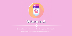 Vitamin A capsule with a paw print