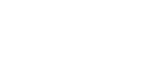 V3 GOLD.png