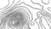 white print lino_4x_edited.jpg