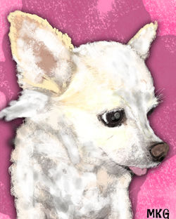 Digital Image