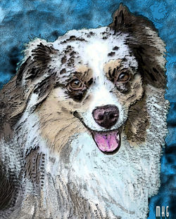 Nellie5