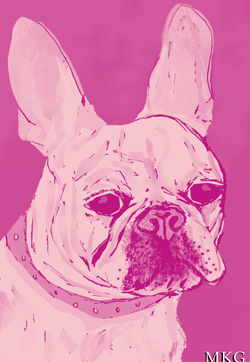 Gabby Pink (1)