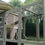 Thumbnail: Aivituvin Large Cat Catio 4 Tiers Cat Enclosures House for Outdoor Indoor Cats 