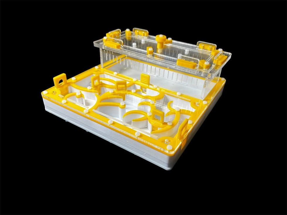 Миниатюра: Высокопрочный медицинский гипс Г23 толщиной 6 мм по всей площади гнезда.