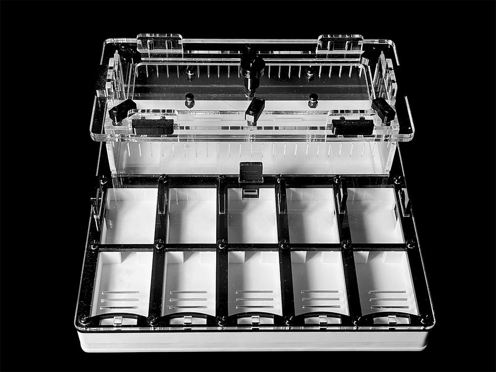 Формикарий ANTMART с гипсом во всей жилой зоне — муравьиная ферма 200x200 мм.