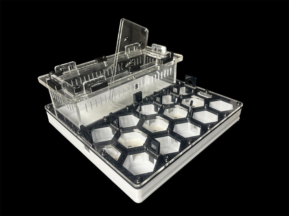 Миниатюра: Многослойный корпус муравьиной фермы из черного и прозрачного акрила 3 мм и PETG