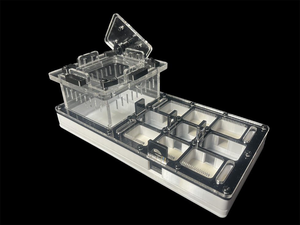 Миниатюра: Стильный черный формикарий для крупных муравьев Camponotus и Messor.