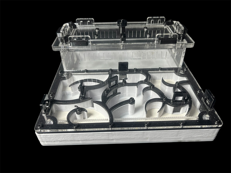 Муравьиная ферма ANTMART Origin Black 200х200 мм с черной декоративной панелью