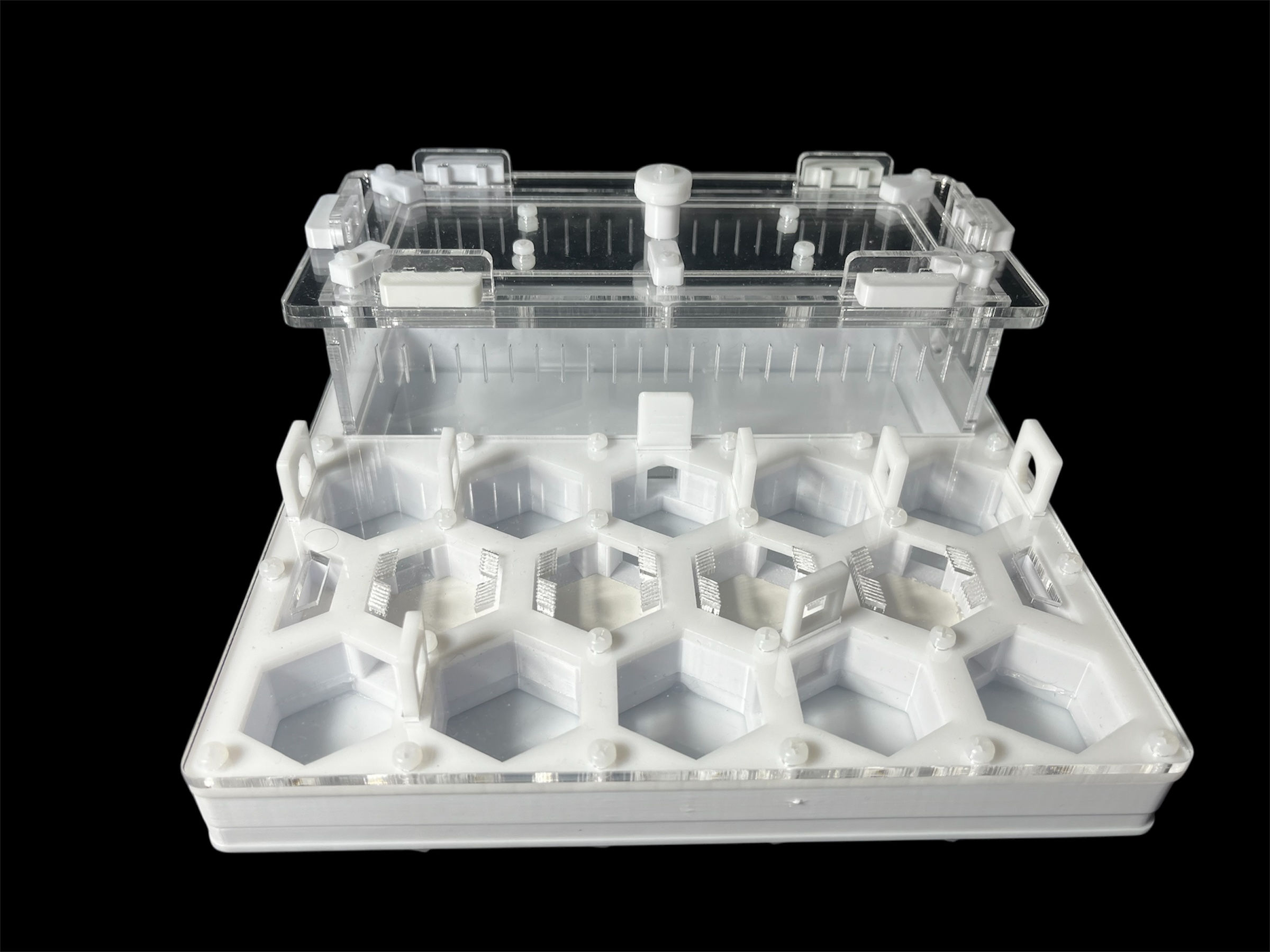 Муравьиная ферма ANTMART Соты White А 200x200мм для новичков