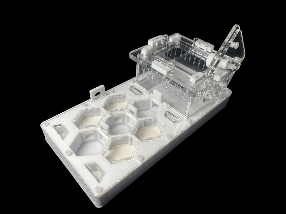 Миниатюра: Муравьиная ферма ANTMART Соты White 220x110 Вариант А