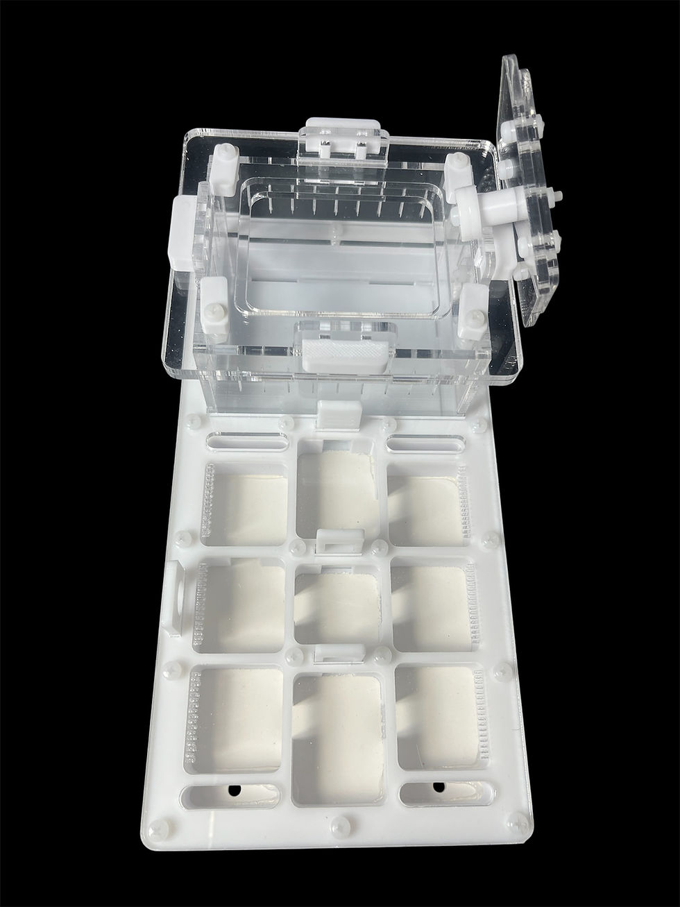 Миниатюра: Муравьиная ферма для тропических видов Pheidole и Camponotus Вариант Б.