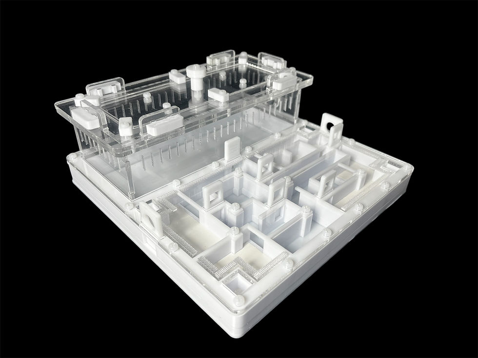 Миниатюра: Крепление корпуса белой фермы на черных нейлоновых болтах — отсутствие коррозии.