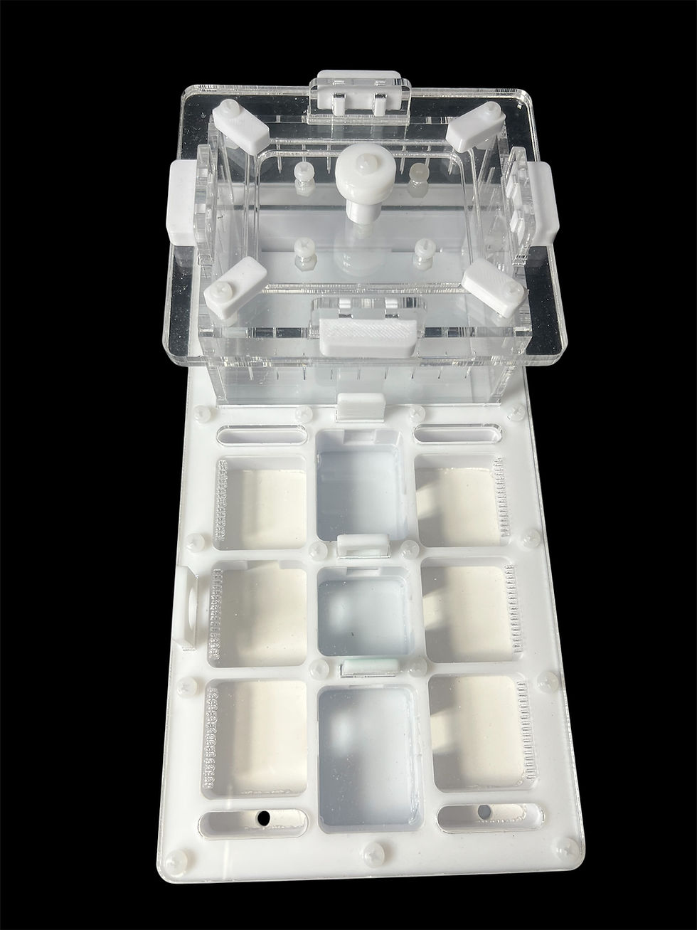 Формикарий из белого PETG пластика с антикоррозийной нейлоновой фурнитурой.