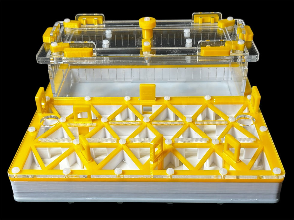 Желтая муравьиная ферма ANTMART Trigon Yellow Б 200х200мм с полным гипсом Г23.