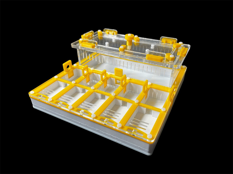 Прев'ю: Мурашина ферма Grid Yellow 200х200 гіпс Г23 (PETG) купити в Україні (Варіант А)