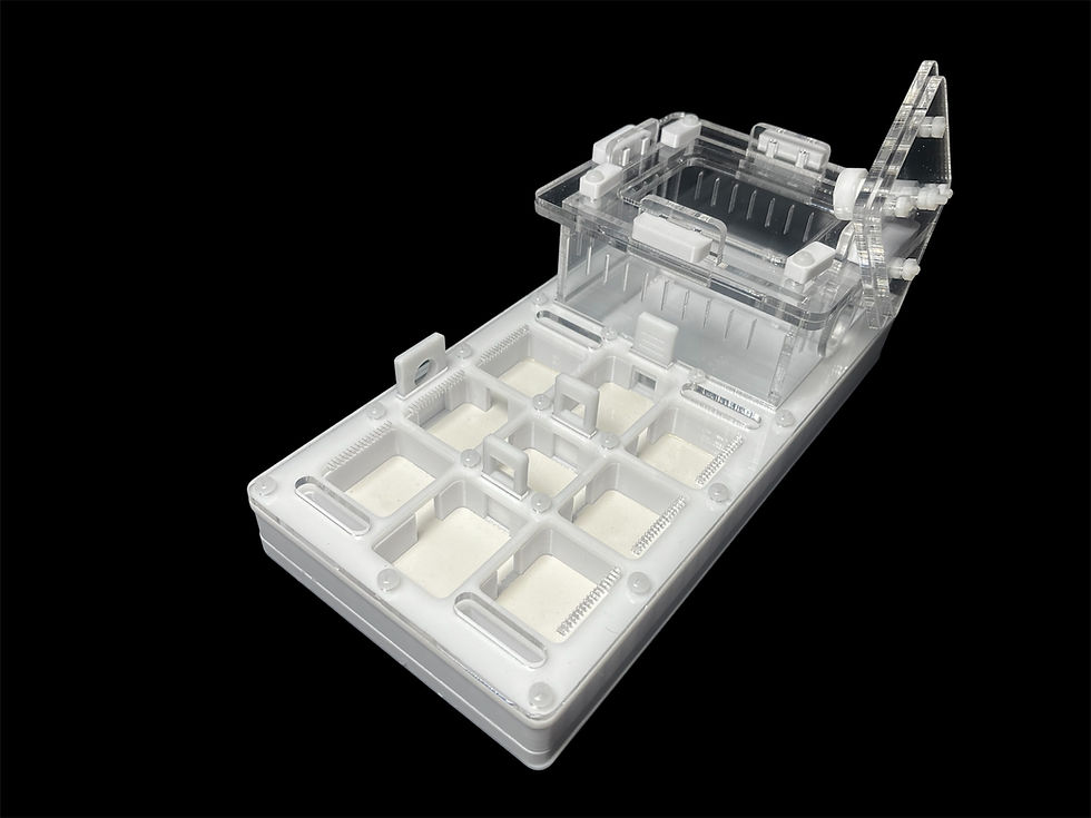 Миниатюра: Эстетичная муравьиная ферма ANTMART Apex White Б в современном интерьере.