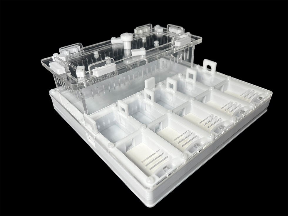 Боковой вид: высота 80 мм, белый акрил и прозрачные стенки, гипс занимает часть зоны.