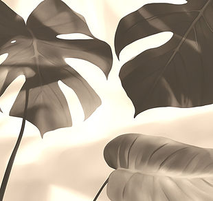 yuvalna_Create_a_illustration_of_water_color_art_minimalist_com_f1012125-9c24-47dc-bab2-9f