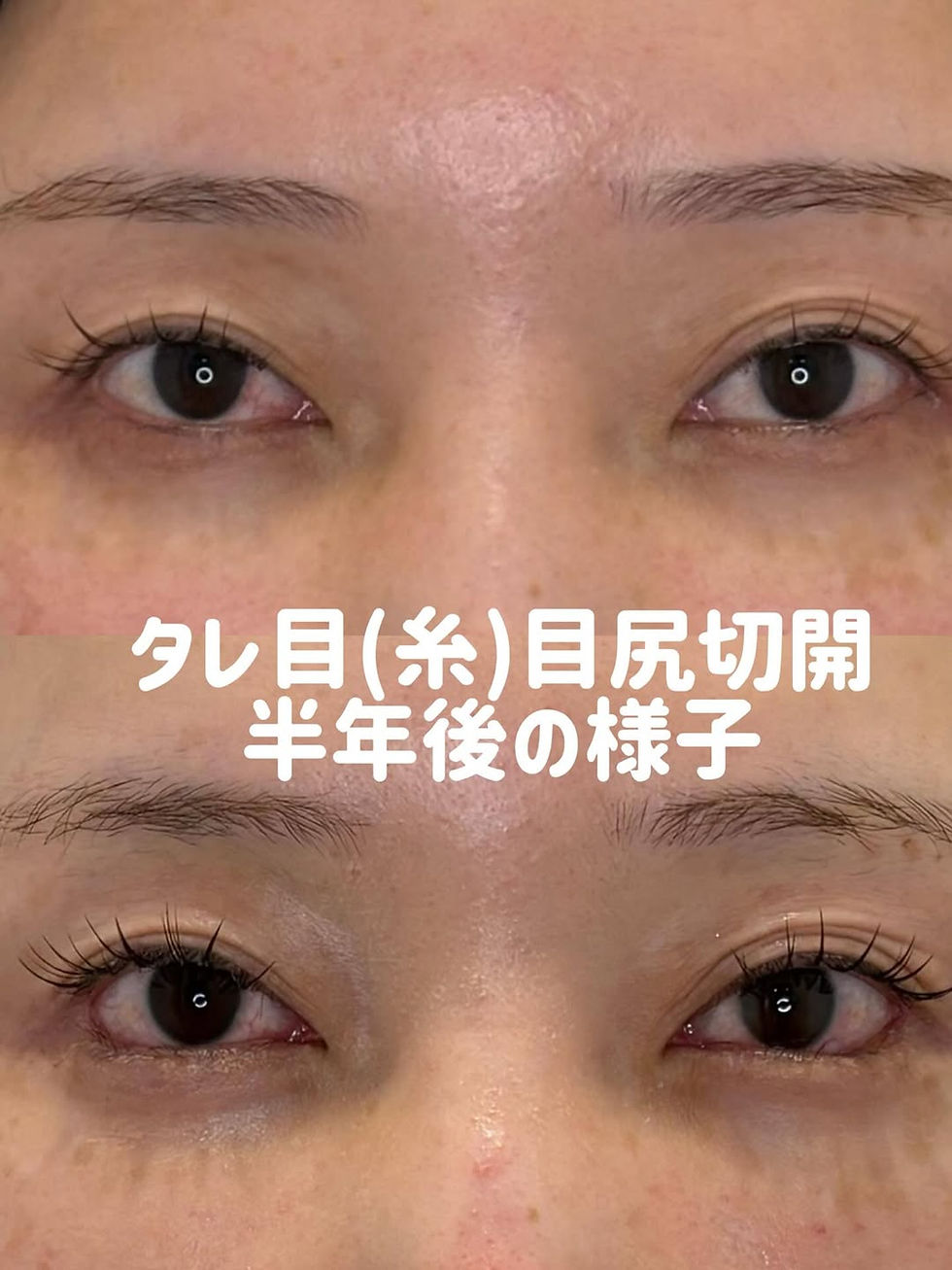 執筆者アイコン