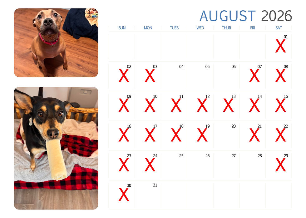 August 2026.jpg