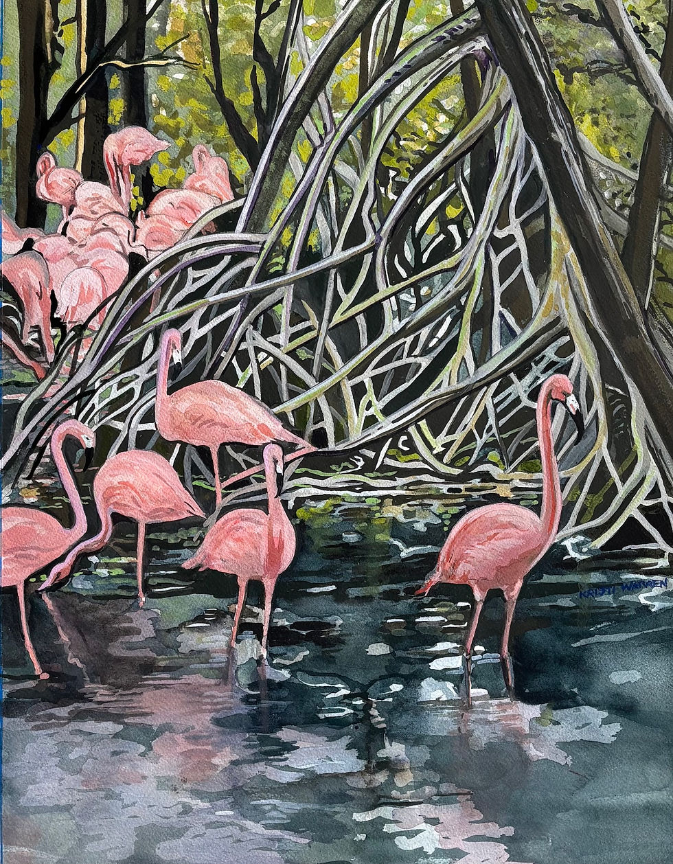 Flamingo Swamp