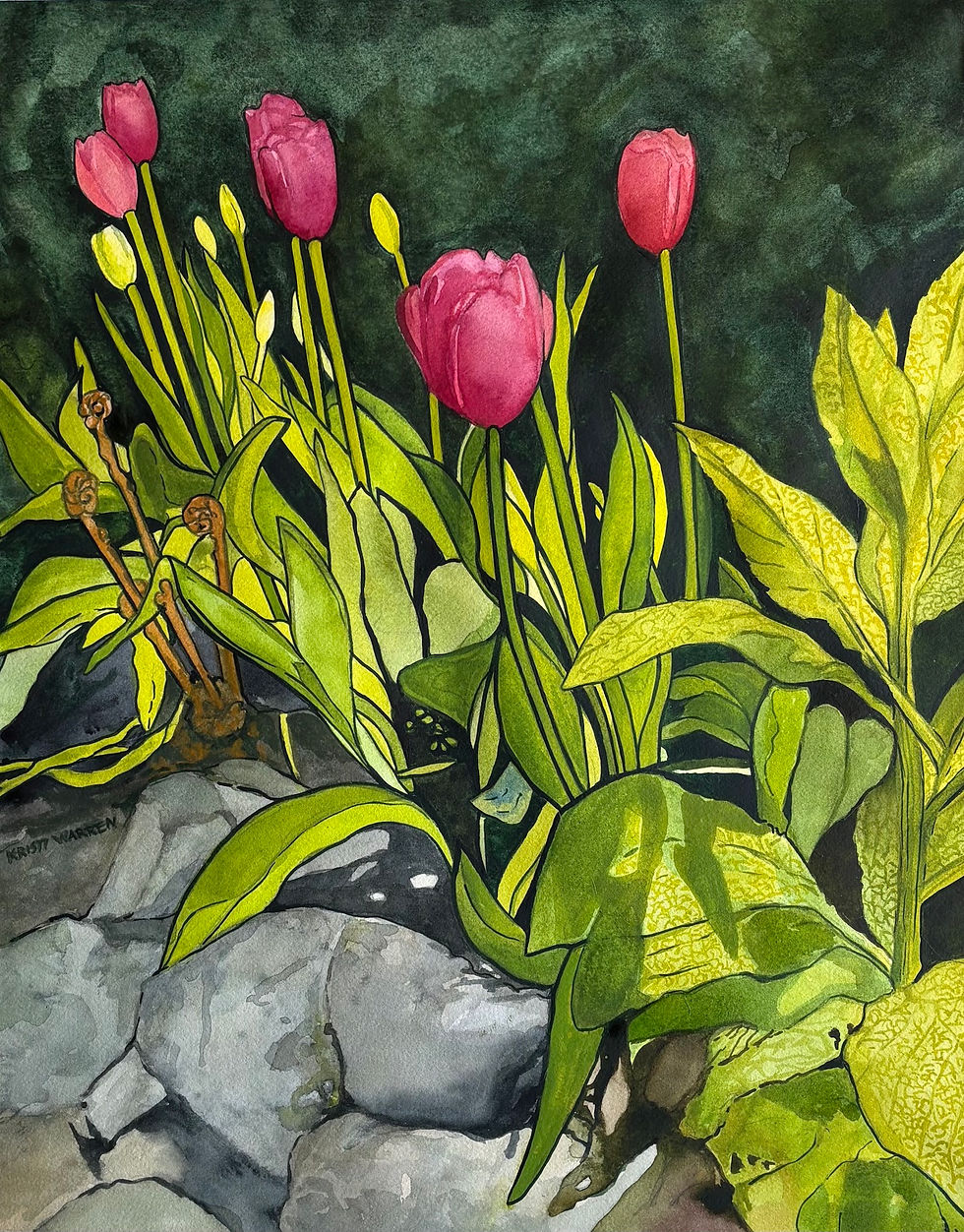 Tulips in Spring