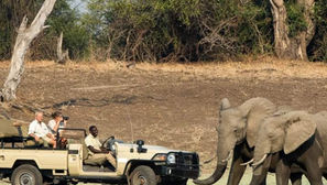 Uncover the Best Adventures in Zambia