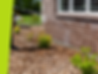 Untitled design (12).png