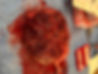 Placenta +.jpg