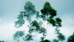 Companies are changing the way we weather natural disasters