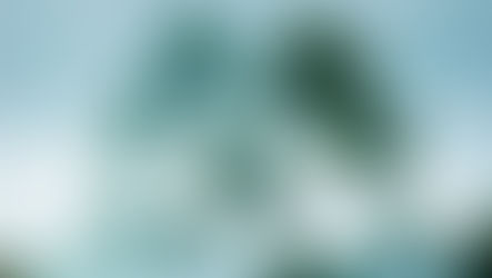 Das Unterbewusstsein als ungenutzte Ressource