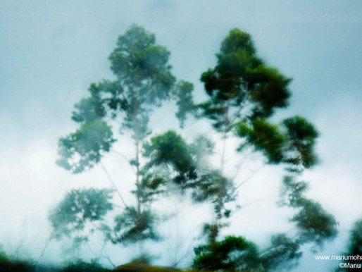Breaking Down the Dosha: Vata