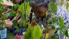 Nature persists through a culture of resistance in Kalinga