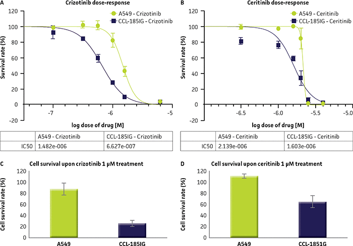CRISPR CCL-185IG is sensitive to ALK (1)