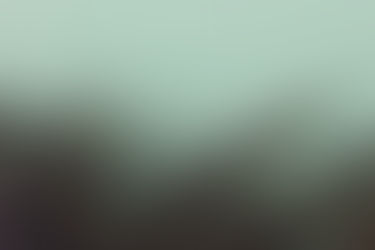 TRANSIÇÃO CAPILAR - LUGAR TODO ESTRADA