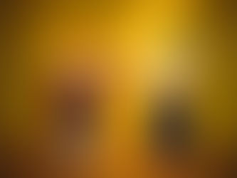 MUITO PRAZER. FRIDA DO CERRADO