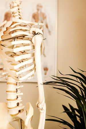 Parietale Osteopahtie Wesel