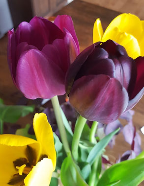 spring1_edited.jpg
