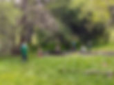 Felicita Nature Play