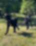kc ball_edited.jpg