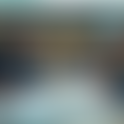 Explore Neuroscience: Join the Brown Brain Bee