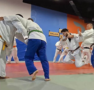 Adult Judo.jpg