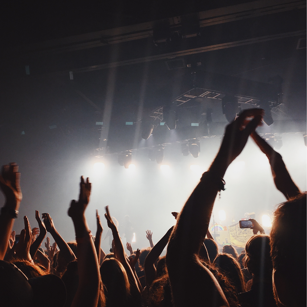 people at a concert