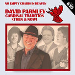 David Parmley - If You Can't Feel It Baby - Cover.jpg