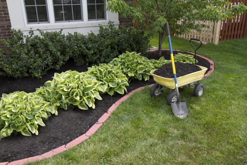 Mulching - landscaping Selbyville DE